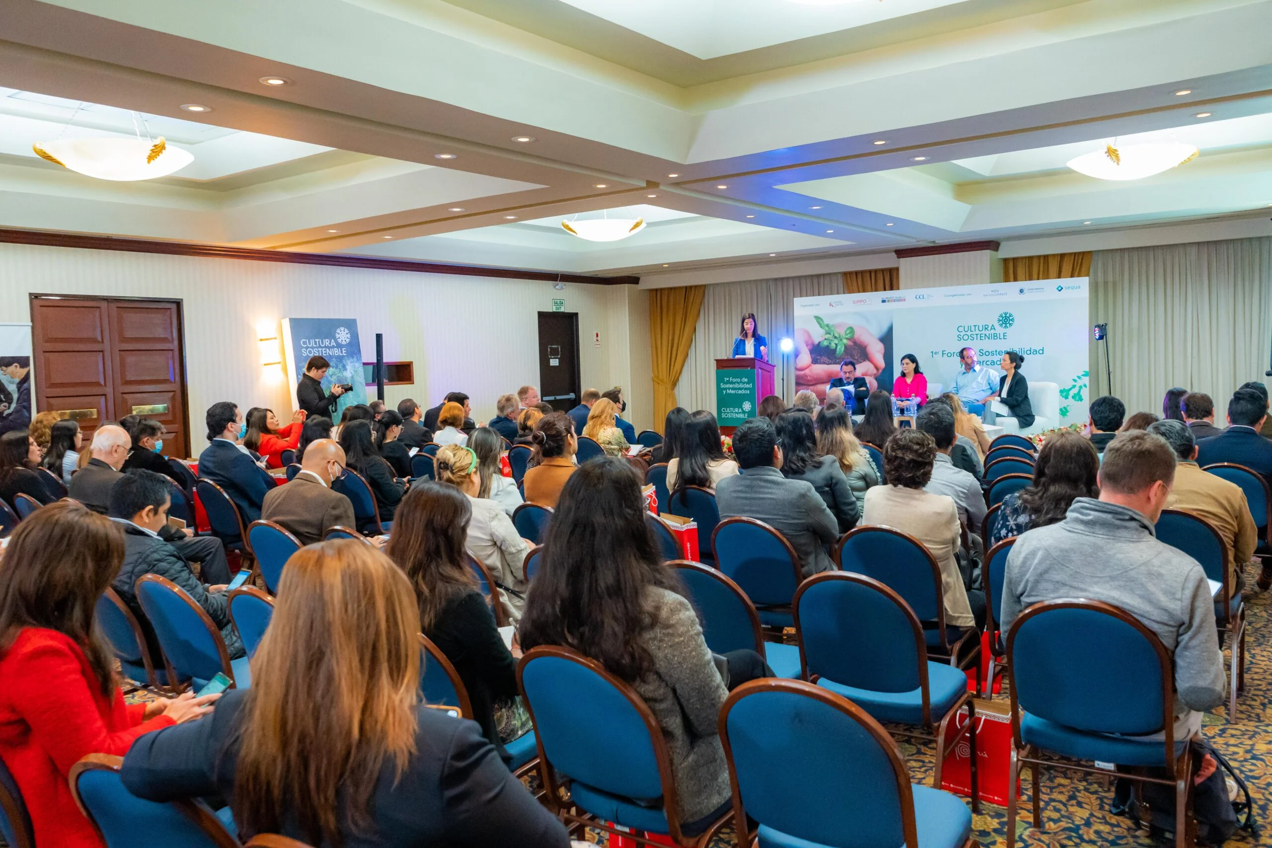 Sostenibilidad Empresarial y Mercados