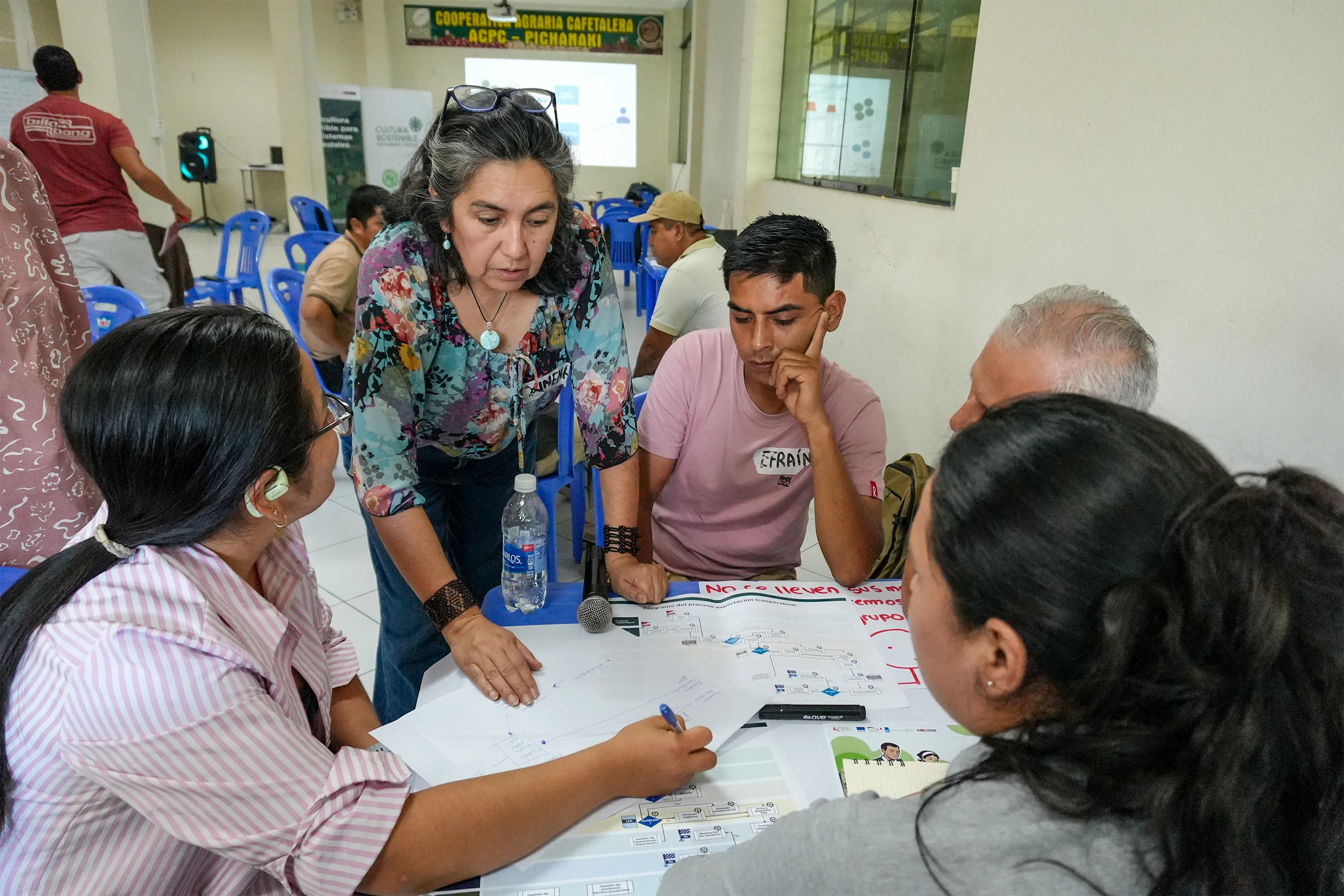 PROMPERÚ / PROYECTO SAFE