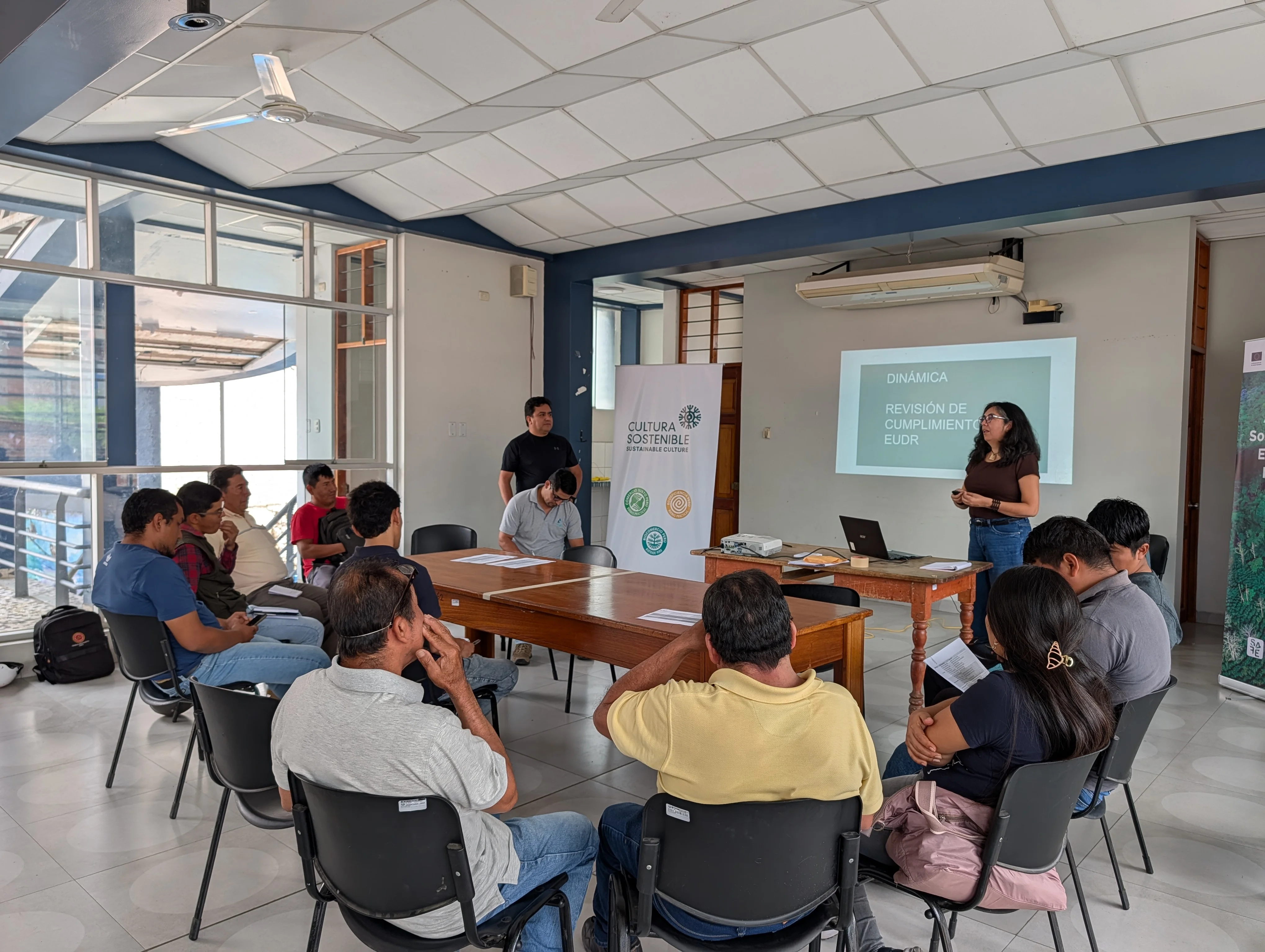 PROMPERÚ / PROYECTO SAFE
