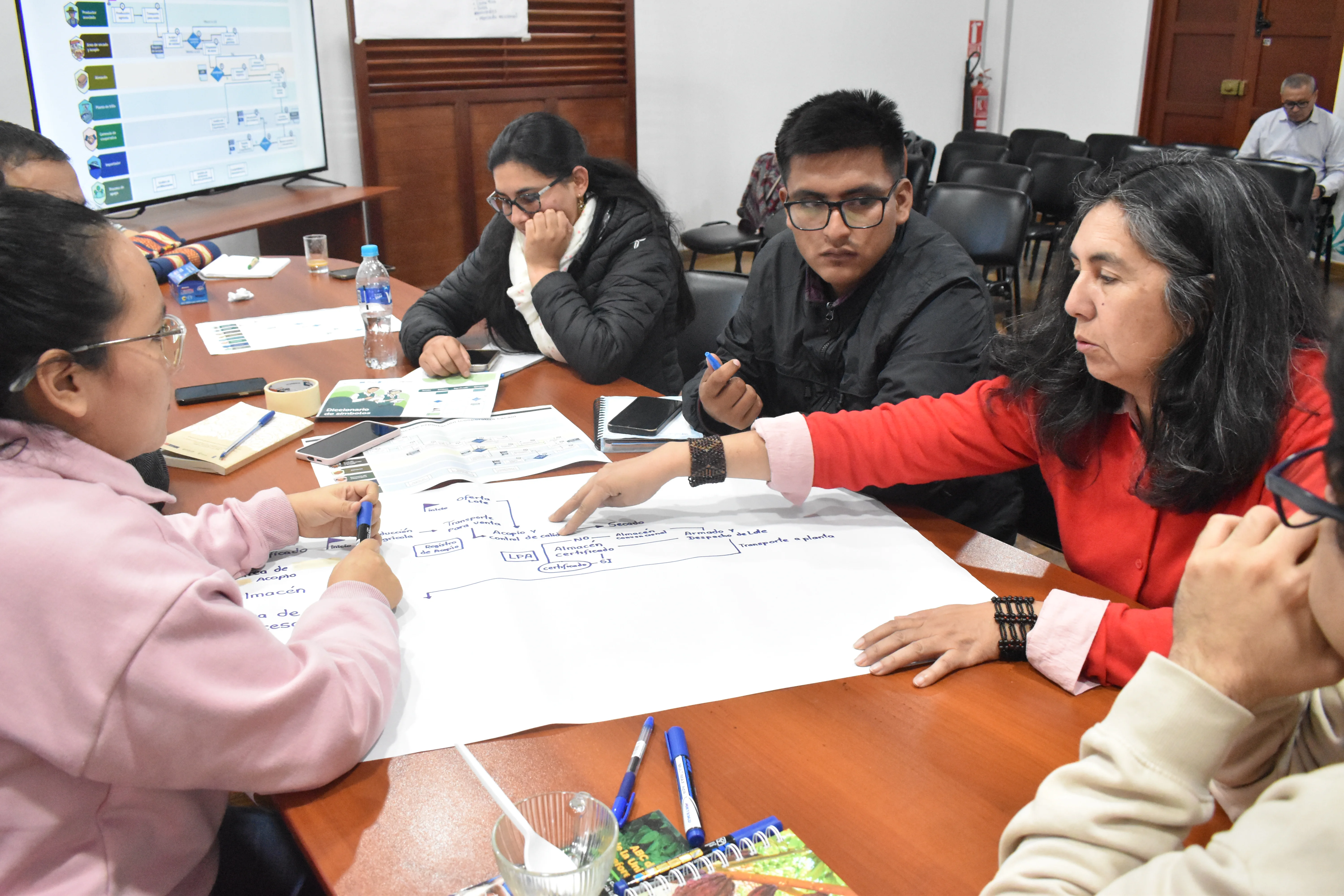 PROMPERÚ / PROYECTO SAFE